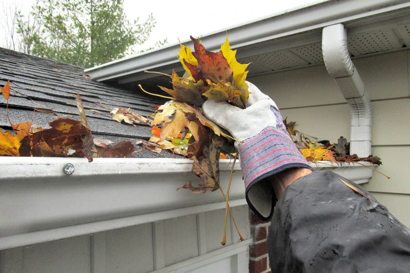 Roof Leaf Removal Service