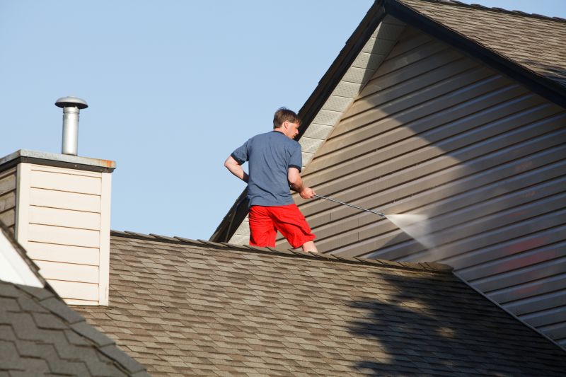 Asphalt Shingles Cleaning