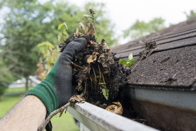 Products For Roof Leaf Removal Service in use