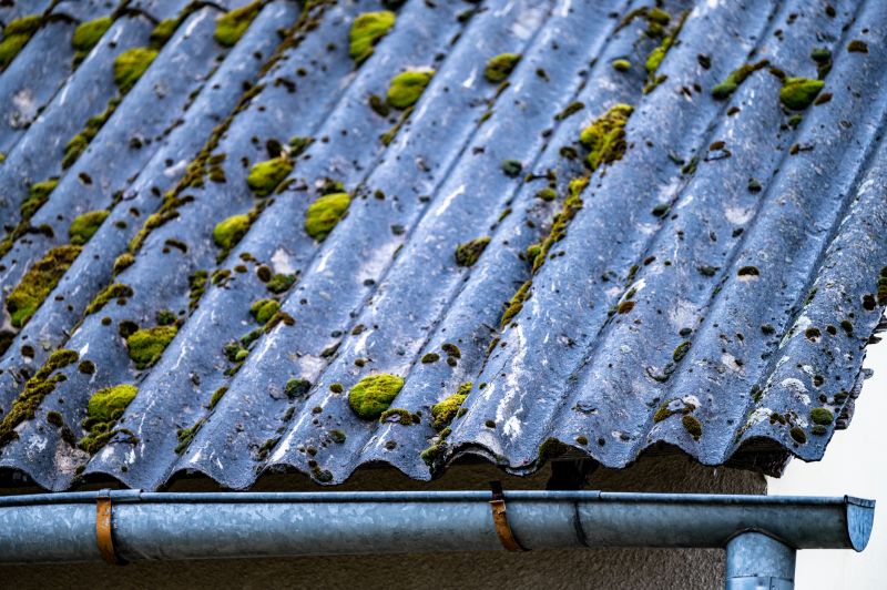 Roof Leaf Removal Service Cost — Cost of Roof Leaf Removal Service