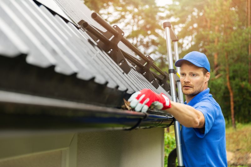 Roof Leaf Removal Service Cost — Cost of Roof Leaf Removal Service
