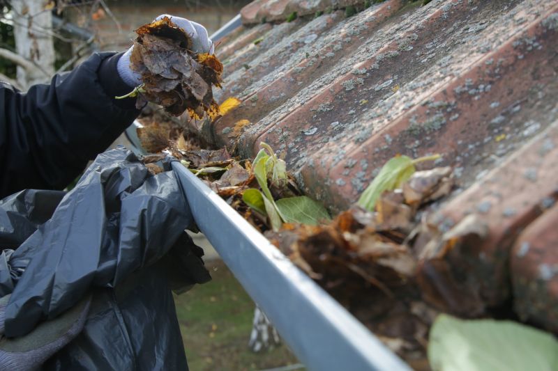 Gutter Clearing