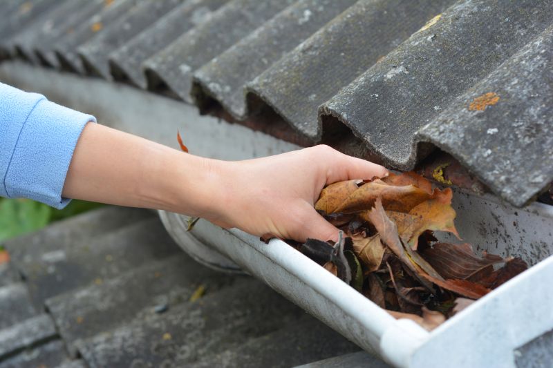 Gutter Cleaning Post-Removal