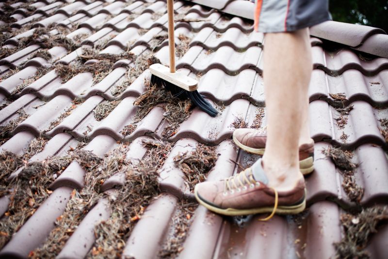 Roof Leaf Removal Service