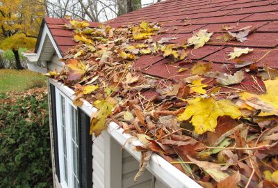 Remove Leaves from Residential and Commercial Roofs!