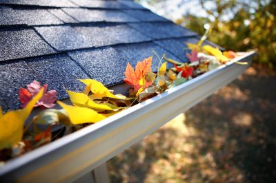 Prevent Clogs in Your Gutters with Roof Leaf Removal!