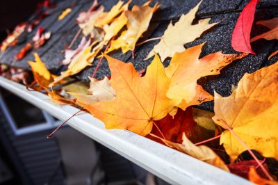 Keep Your Roof Safe from Deterioration!